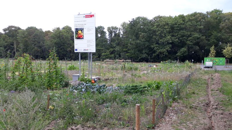 Blick auf das Gartenlabor an der Olpener Straße in Köln-Kalk mit Info-Tafel der Stadt.