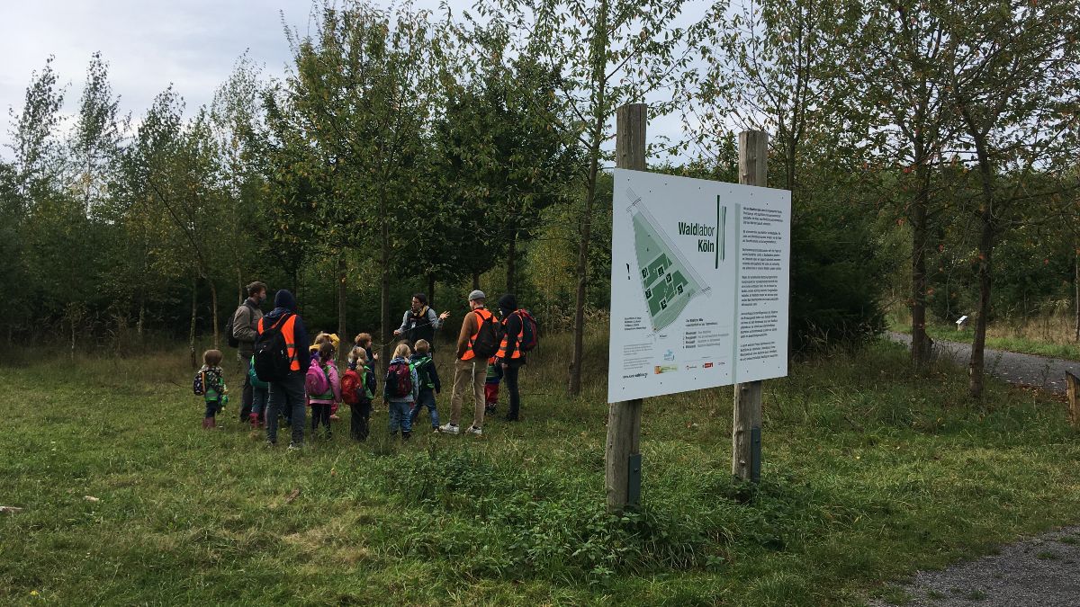 Ökosystem des Waldlabors Köln