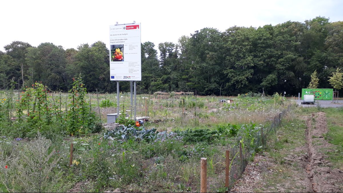 Blick auf das Gartenlabor an der Olpener Straße in Köln mit Info-Tafel der Stadt.