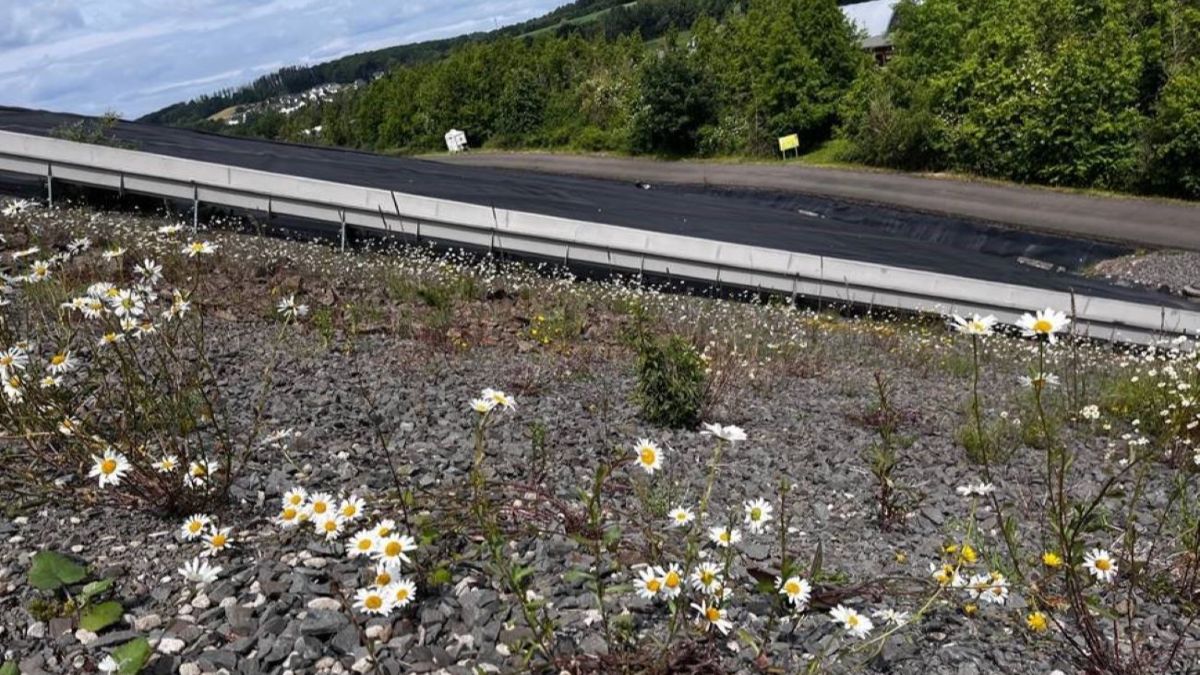 Flore bei metabolon