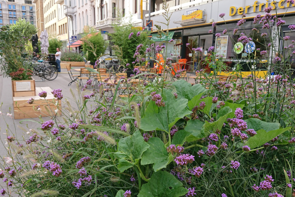 Theaterplatz und urbanes Grün 